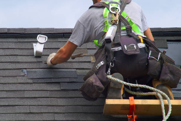 Best Roof Maintenance and Cleaning  in Bellville, OH